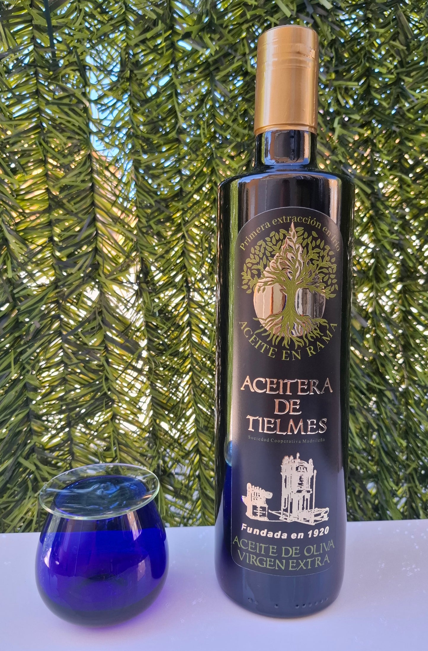 PRÓXIMAMENTE AOVE En Rama botella 750 ml